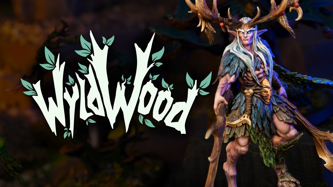 What is Wyldwood? - We Made Our Own Game!