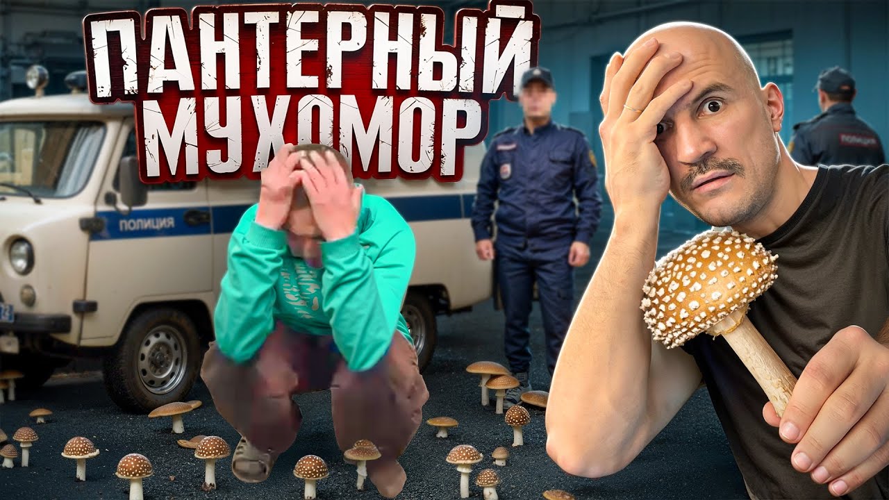 ВОТ ЧЕМ ЗАКОНЧИЛСЯ ПРИЕМ ПАНТЕРНОГО МУХАМОРА...