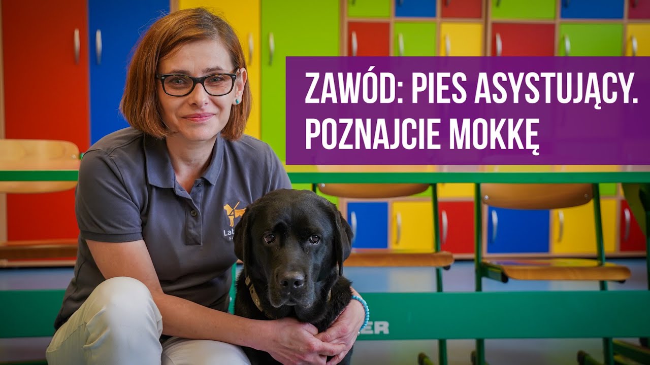 Poznajcie Mokkę! To pies asystujący z Katowic