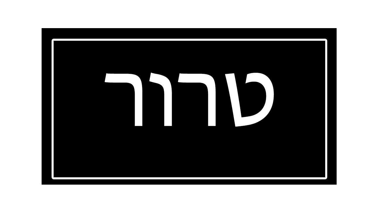 מה אני חושב על טרור