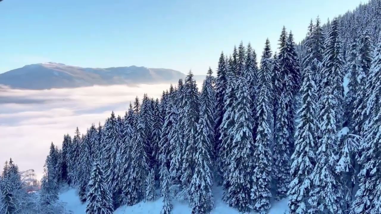 Skiing in Kvitfjell (2023)