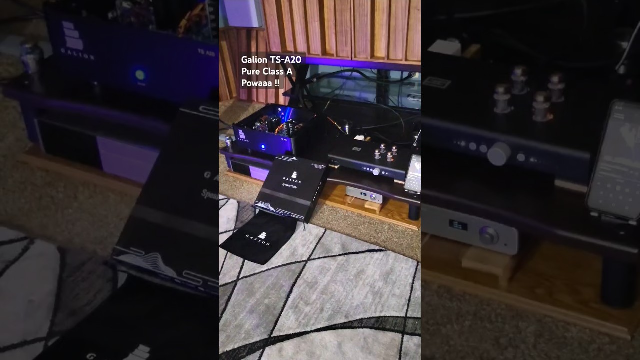 Galion TS-A20/Schiit Freya Plus Polk 703 Burson Dac Ultra Resolution My goodness Dynamic contrast !