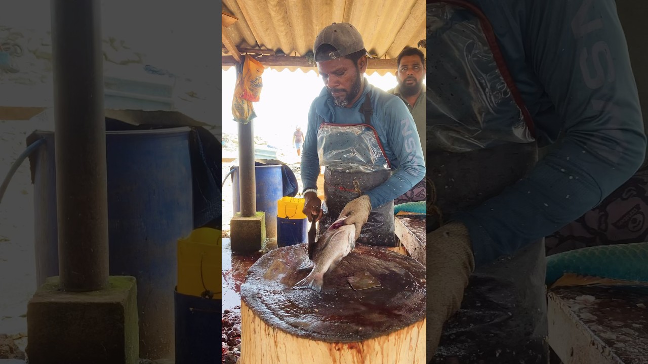 Insane Snapper Fish Cutting Skills | Super Satisfying Seafood Prep! 