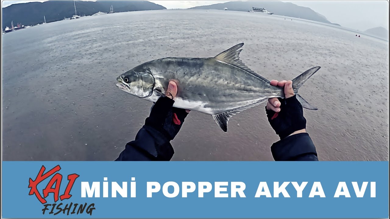 MARMARİS UZUN YALI AKYA AVI