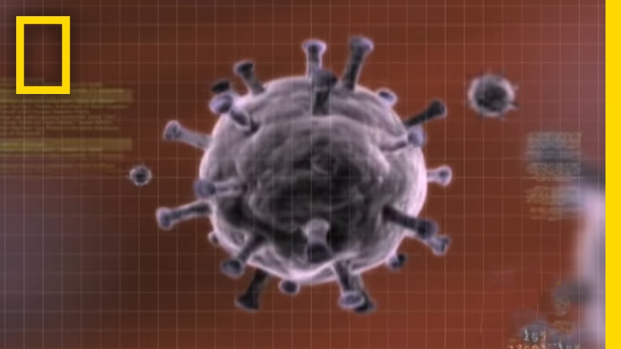 Virus Crisis | National Geographic