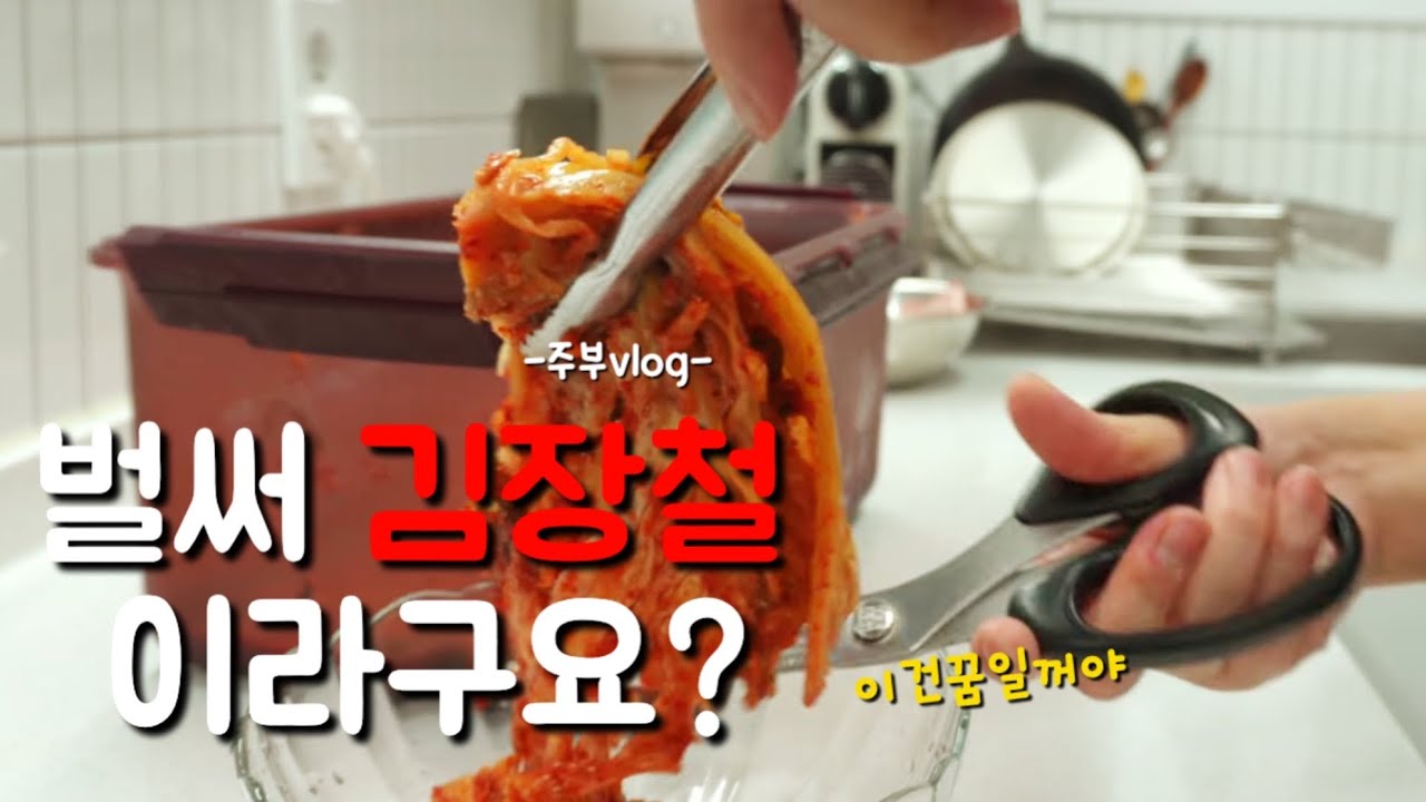주부vlogㅣ가족을 위한 건강주스&집밥 만들고 강아지랑 농막가서 힐링불멍 하는 일상ㅣ다이소화장품 구매 추천ㅣ공덕 카페 맛집 추천