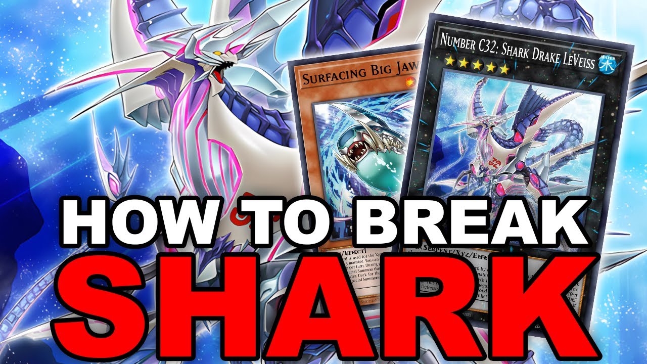 This is how you BREAK the new Shark support... (Yu-Gi-Oh! Master Duel)