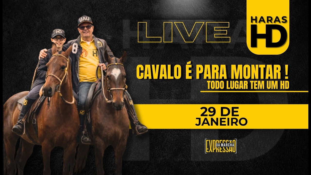 LIVE  HARAS HD - 29/01/2026