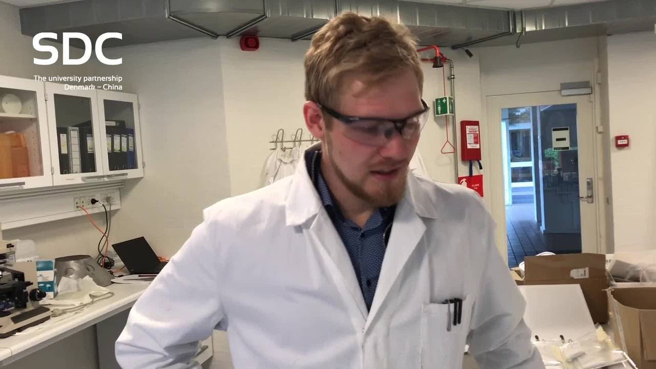 Nanoscience and Technology MSc Programme &ndash; Writing Your Thesis in China