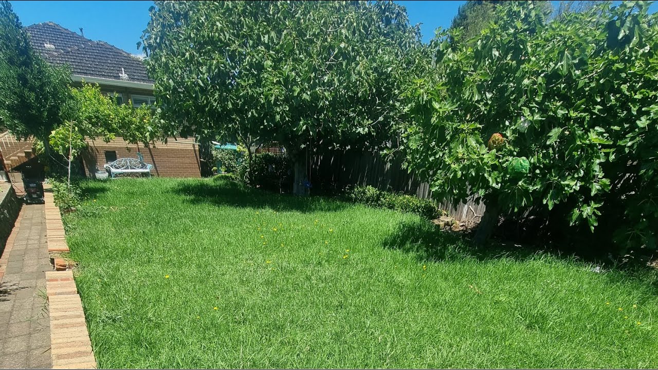 LENDING A HELPING HAND - Lawn was too much for the elderly owner