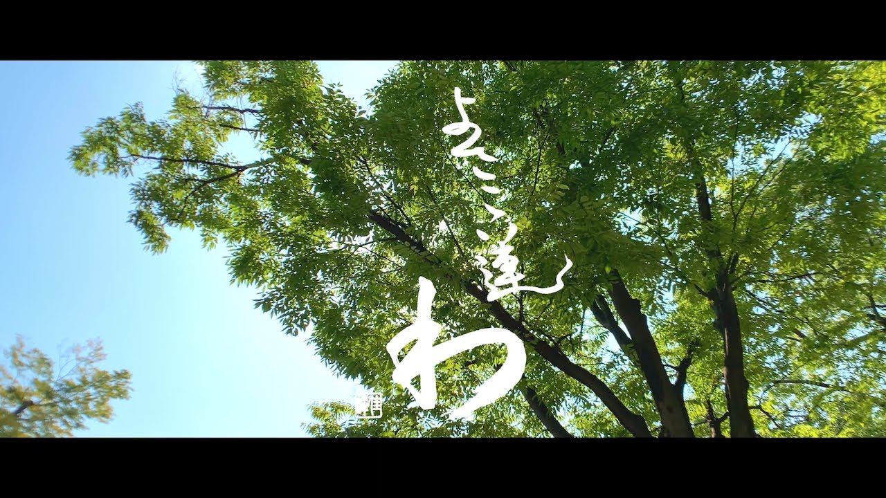 よさこい連「わ」木漏れ陽のしずく 2019