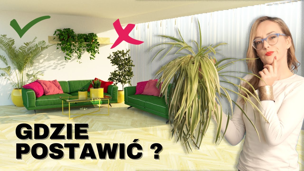 Gdzie i jak ustawiać ROŚLINY w domu, mieszkaniu ?