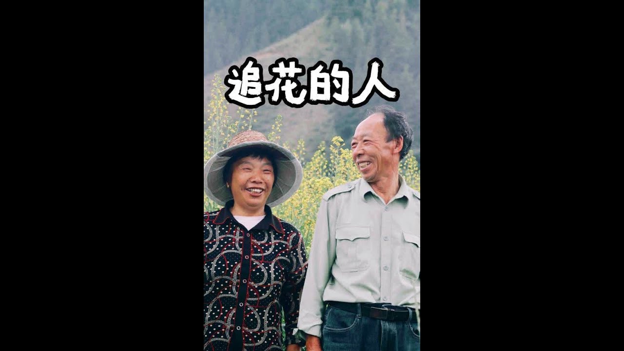 他们是甜蜜的制造者，但这个过程充满苦涩#养蜂人 #养蜂生活 #70秒爱上互助