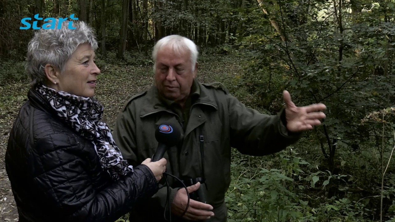 Boswandeling met boswachter Frans Kapteijns