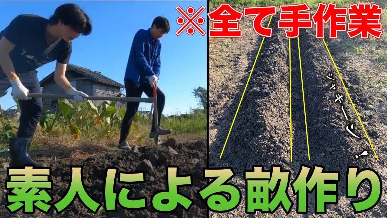 【開墾】10年間放置された畑を手作業で耕してみた  #2