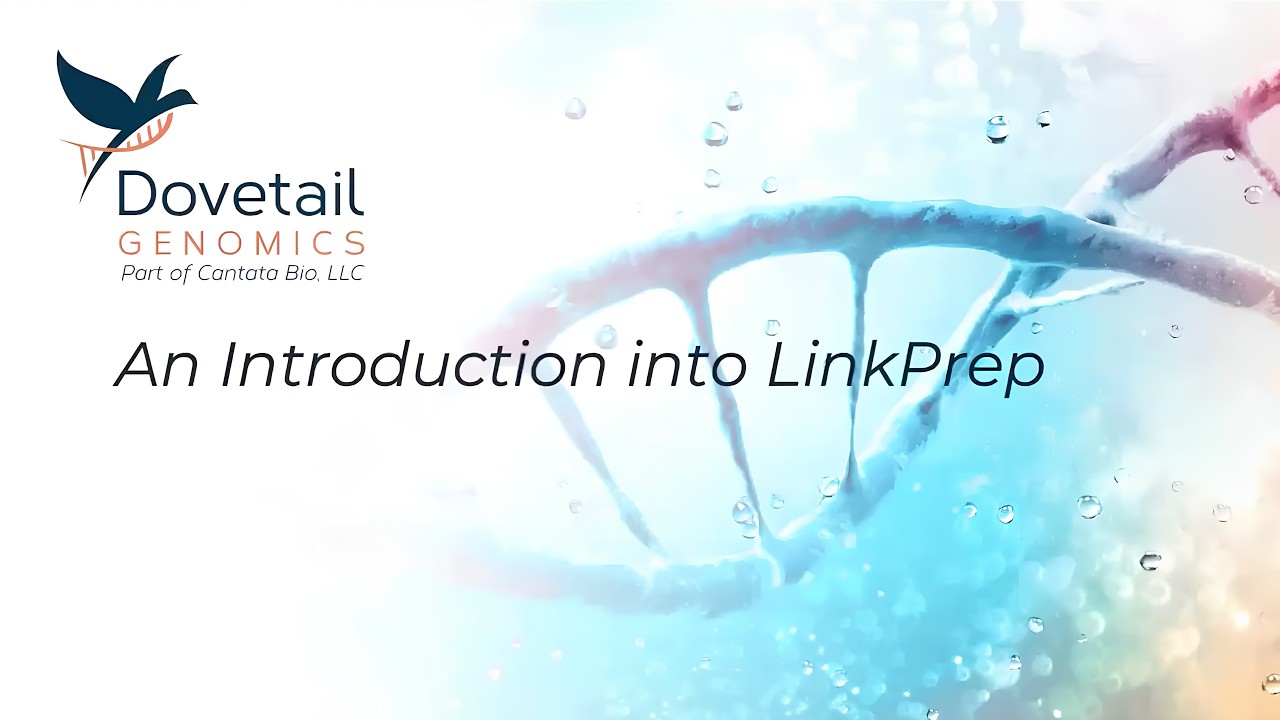 LinkPrep Introduction