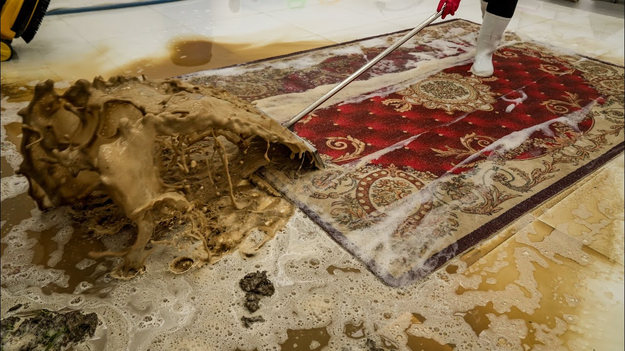 Massive Mud Push-Off | Extremely Dirty Rug & Carpet Cleaning ASMR