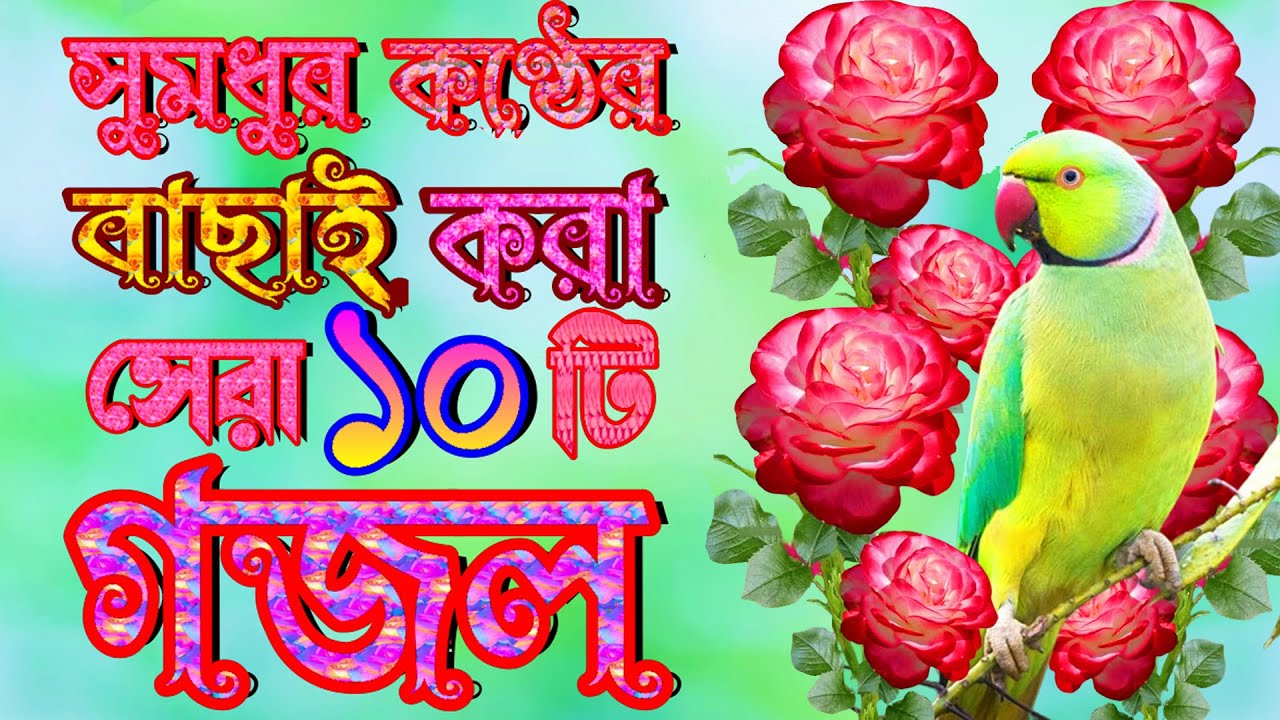 বাছাই করা গজল |মন মাতানো সেরা 8 টি গজল |Machuma aktar Islamic Bangla |Gajal New Gazal,Bangla gojol