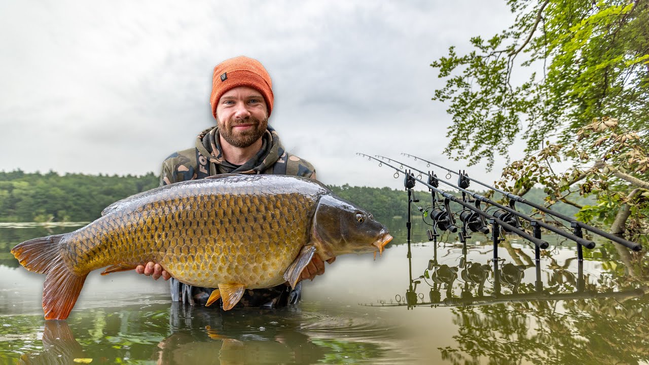 20 Kilo+ und NEUER PB 🐋 | Karpfenangeln am Natursee
