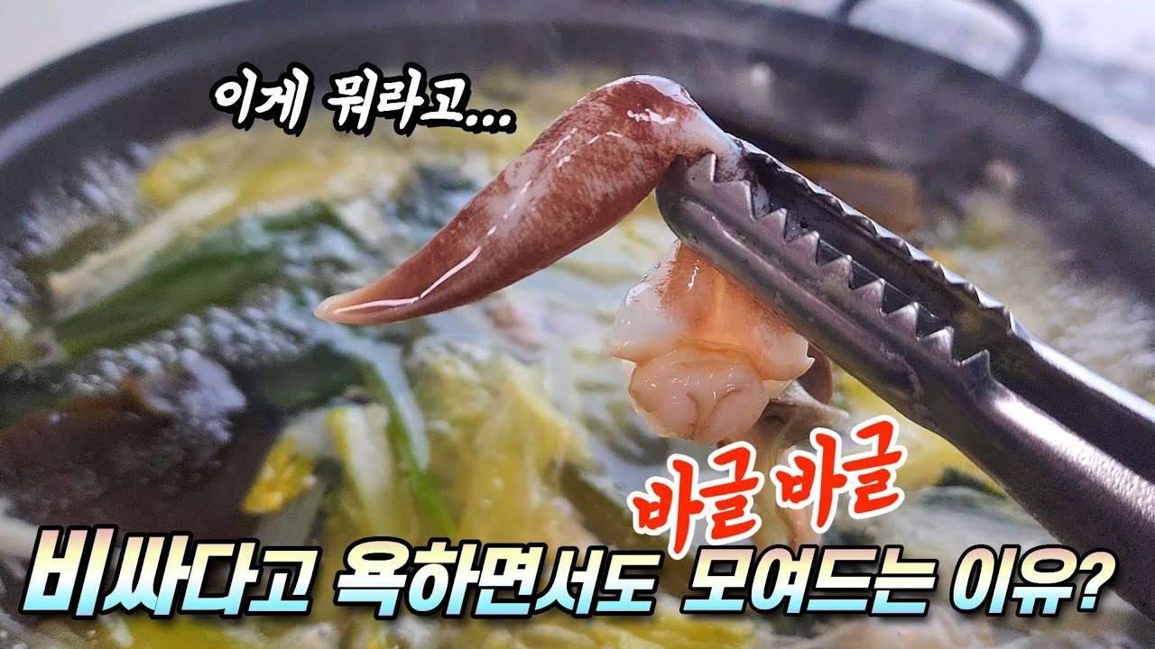 ☆새조개 시즌이 시작되었는데 가격은 후덜덜~ 사람들은 바글바글~  축제첫날 현장리뷰!!!