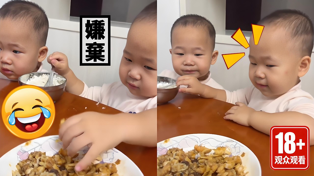 【超萌双胞胎】自我感觉这鱼和虾做的还挺好，没想到被兄弟俩嫌弃至此，一口都不吃😅