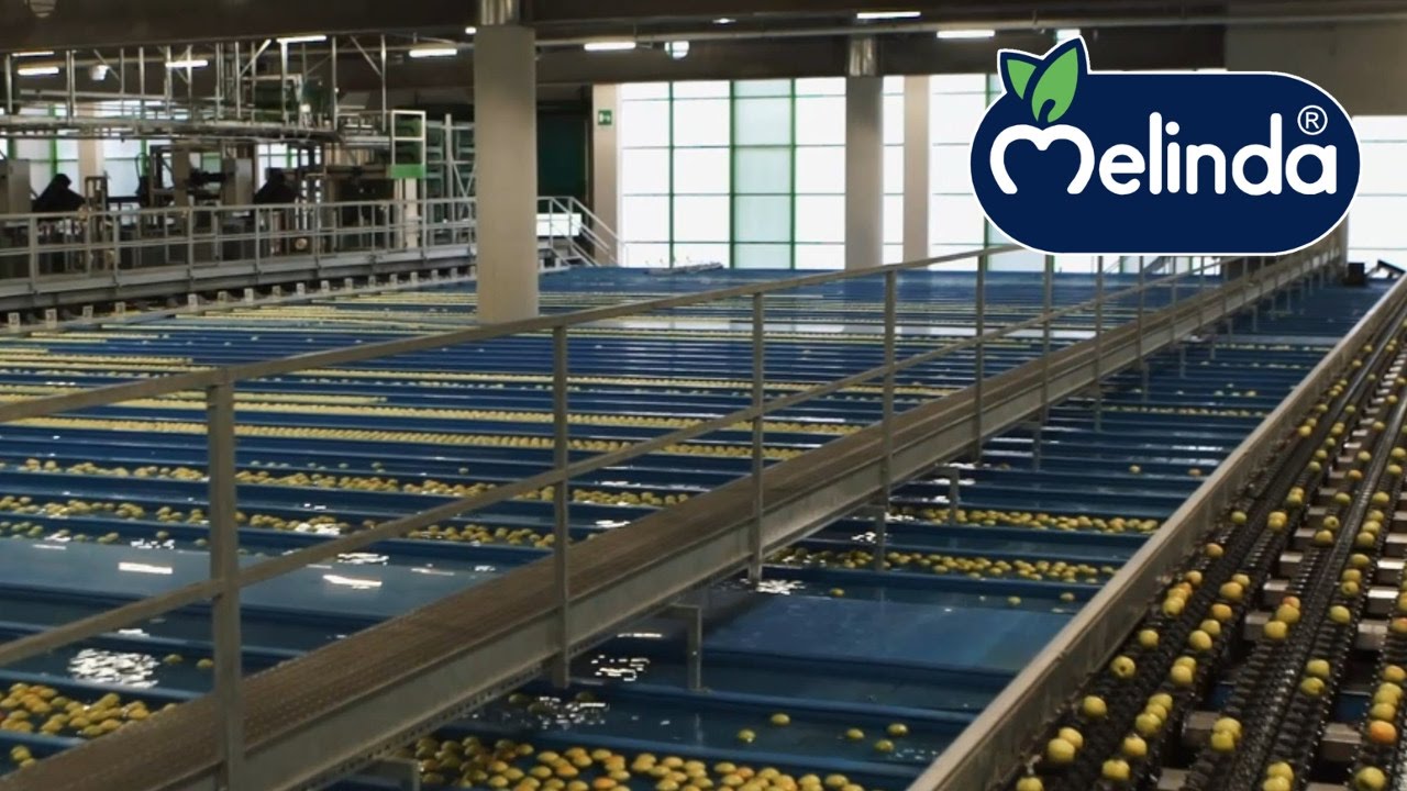 Melinda Val di Non: la lavorazione delle mele nelle cooperative