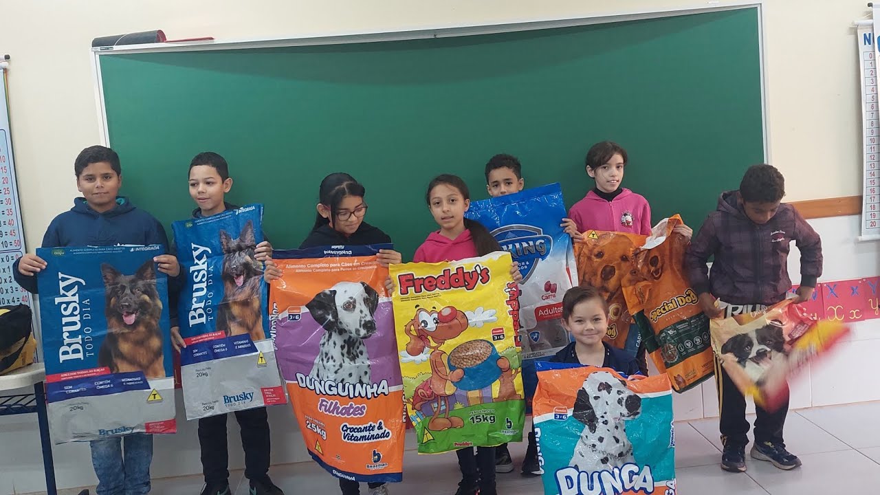 Como fazer ecobag com saco de ração