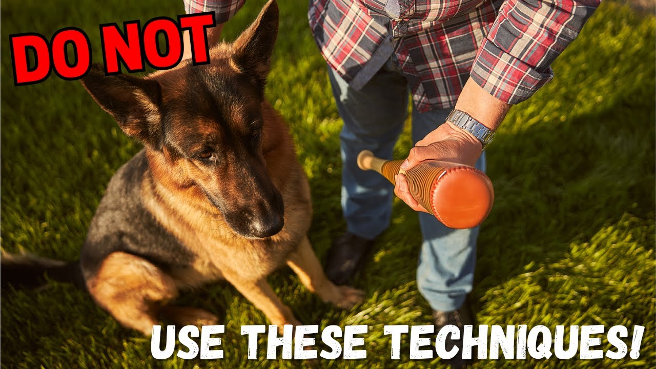 Darkside of German Shepherd Training (All Cruel Techniques Revealed)