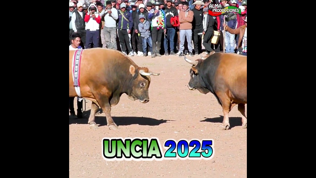 IX Toro Tinku Norte Potosino UNCIA 2025 