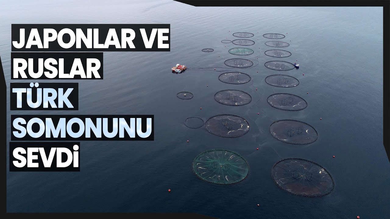 Türk Somonu Dünyada Adından Söz Ettiriyor