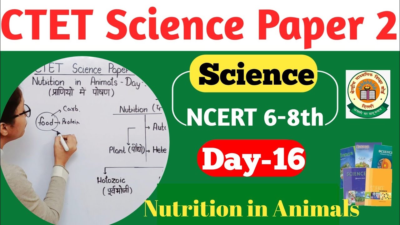 CTET Science Paper 2 | CTET 2024 Science Preparation | CTET Science Nutrition in Animal | CTET 2024