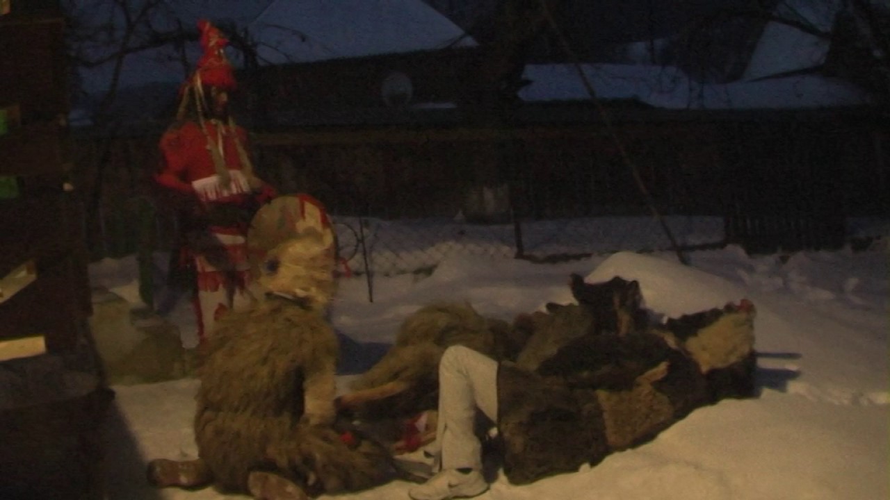 Ursul  din Dolhestii Mici 31 12 2014