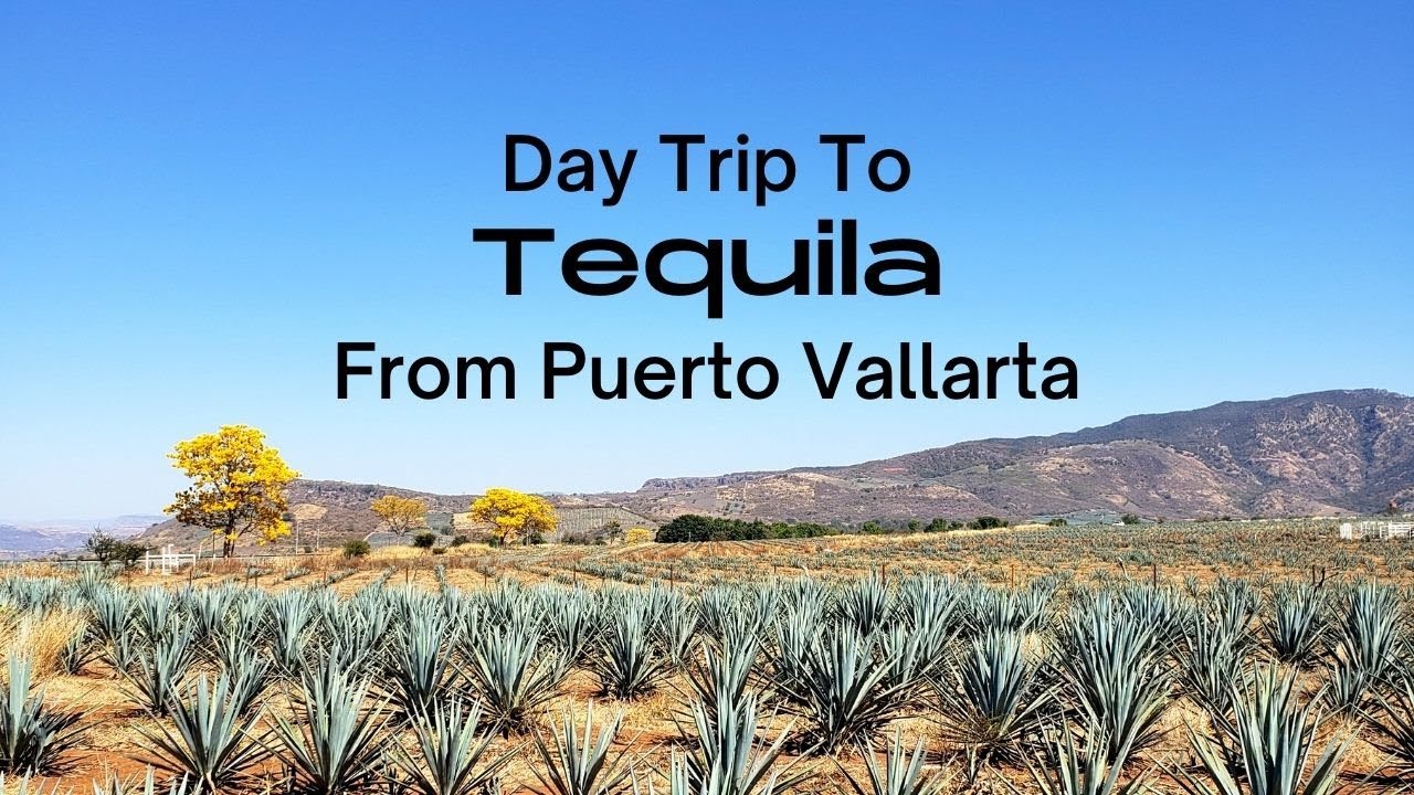 Day Trip To Tequila From Puerto Vallarta