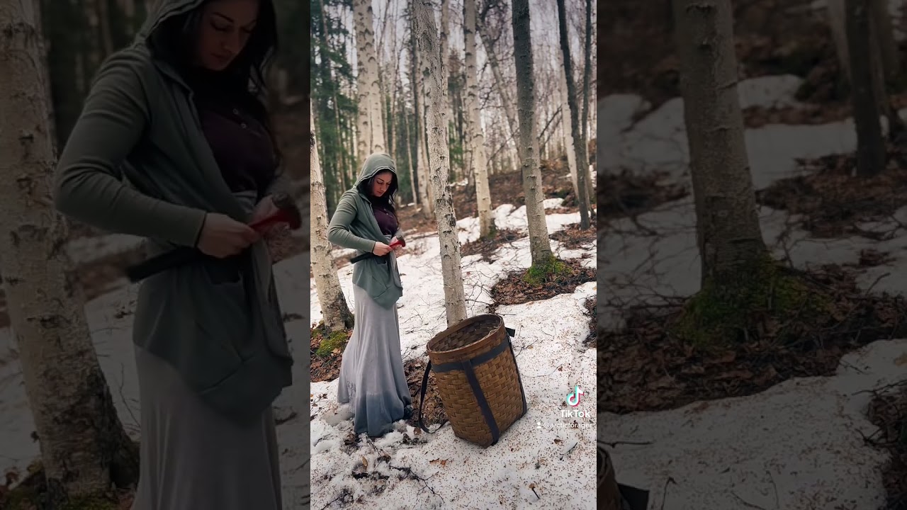 Birch sap #short #nature #forest #shorts   #youtubeshorts #trending #viral #shortvideo #shortsvideo