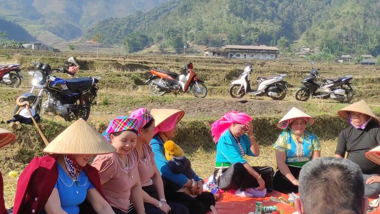 h&aacute;t Th&aacute;i T&uacute; Lệ l&ograve; qua h&aacute;t lồng tồng