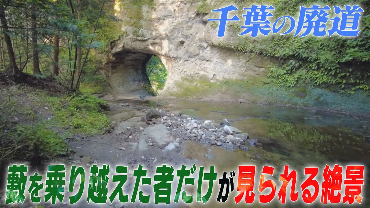【千葉の廃道】壮絶な藪を越えた者だけが見られる絶景スポット