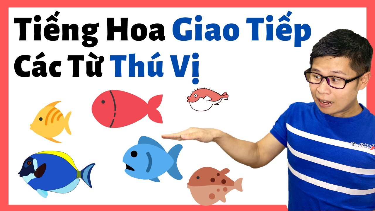 Tiếng Lóng Tiếng Hoa 4.1 (2020)