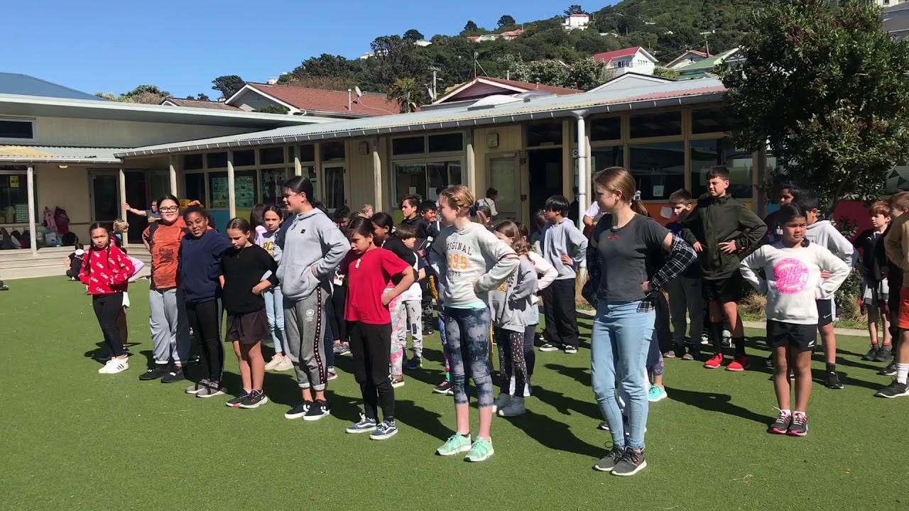 Lyall Bay kapahaka Te wiki o Te reo