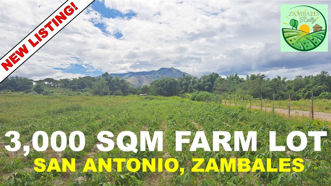 3,000 SQM Farm in San Antonio, Zambales