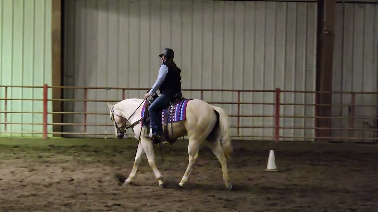 Nicki Pitts riding Steel Saffron. Green rider/Green horse W/T ranch riding. Lets get ranchy.