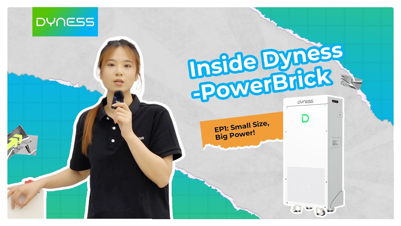 Inside Dyness | Small Size, Big Power! Meet Dyness PowerBrick