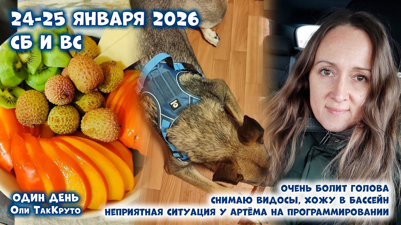 Много еды, работа, бассейн. Разборки с кружком программирования. 24-25 января 2026, день с ТакКруто