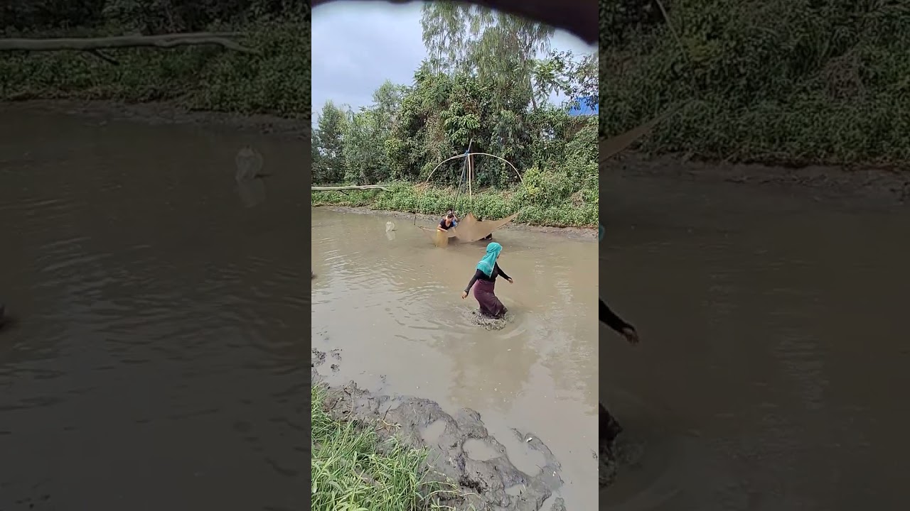 NGA  Fabagi Mammi Fish fising #highlights #manipurnews #fish