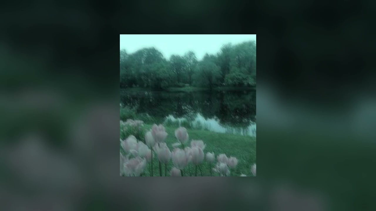 School Rooftop (Bird sounds)