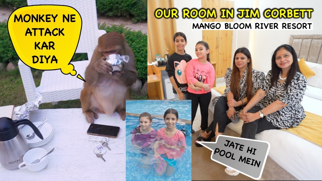 Monkey ne Attack kar Diya and Our Room in Mango Bloom River Resort | Jim Corbett 2023