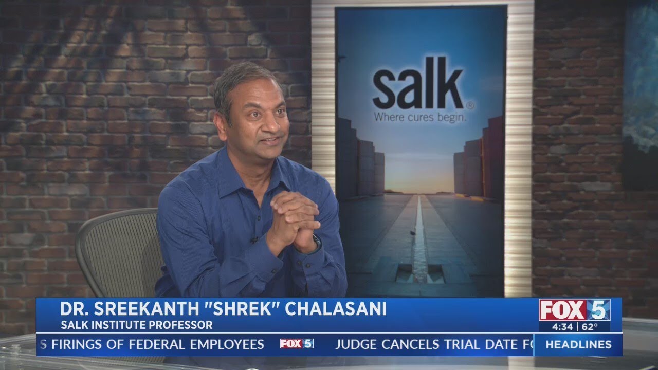 Dr. Sreekanth Chalasani talks about Salk's new research in sonogenics