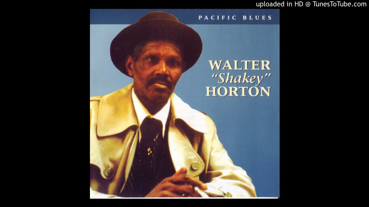 All Because Of You  -  Big Walter Horton