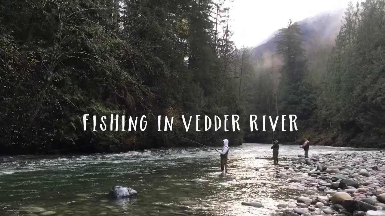 Best Month Salmon Fishing in Vedder River, Chilliwack
