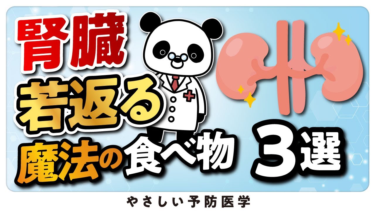 【遂に判明】腎臓に良い食べ物３選