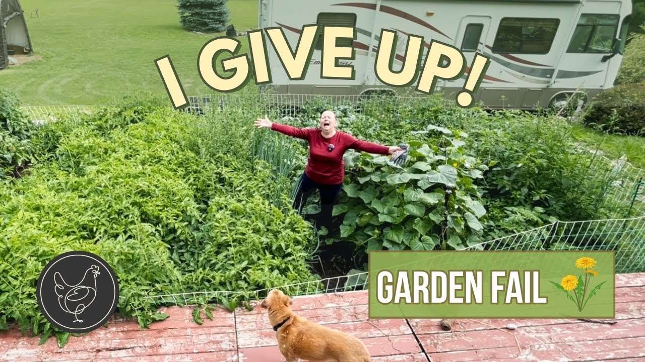 I Give Up! My Weedy Garden is Out of Control (But I’m Learning)